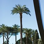Apartman Gilly 4 - Exceptional 2beds, Sea View, Modern,a/c, Old Town Nizza